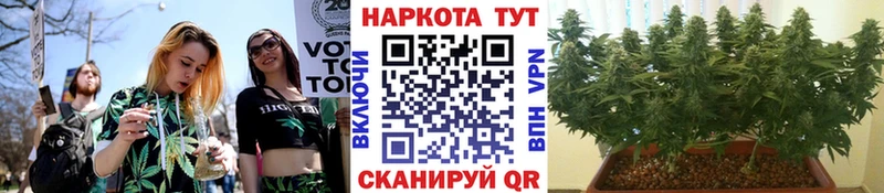 Названия наркотиков Рудня Кокаин LSD-25 СОЛЬ Марихуана Галлюциногенные грибы Меф мяу мяу Гашиш Амфетамин