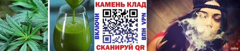 магазин продажи наркотиков  МЕГА ссылка  Печенье с ТГК конопля  Рудня 