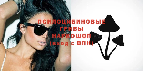 прущий лед Армянск