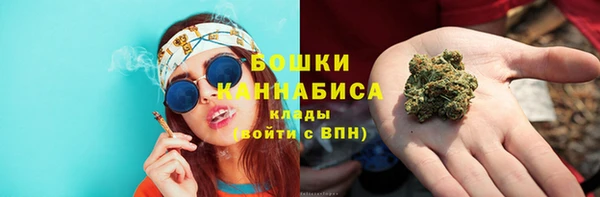 стаф Сосновоборск