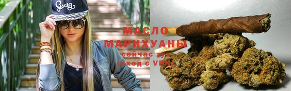 гашик Сосновка