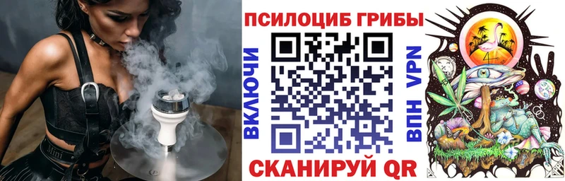 Псилоцибиновые грибы Magic Shrooms  blacksprut ССЫЛКА  Рудня 