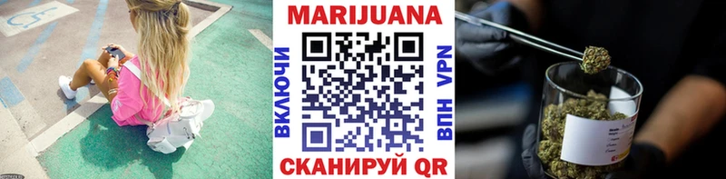 Канабис планчик  Рудня 
